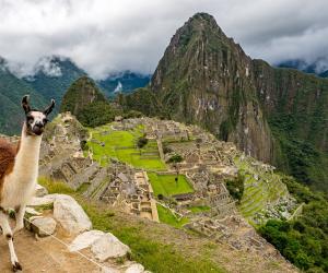 Thumbnail of Exploring the Differences Between Machu Picchu and Huayna Picchu in Peru